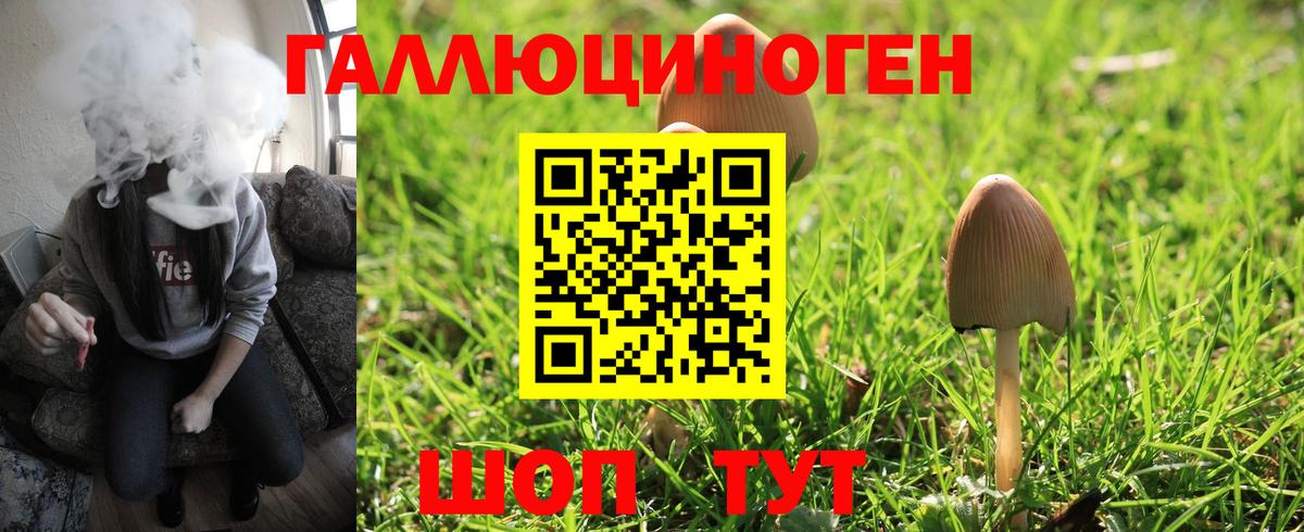 Галлюциногенные грибы мухоморы  Вход с VPN  Черняховск 