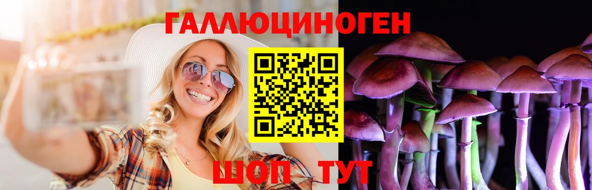 Галлюциногенные грибы мицелий Черняховск